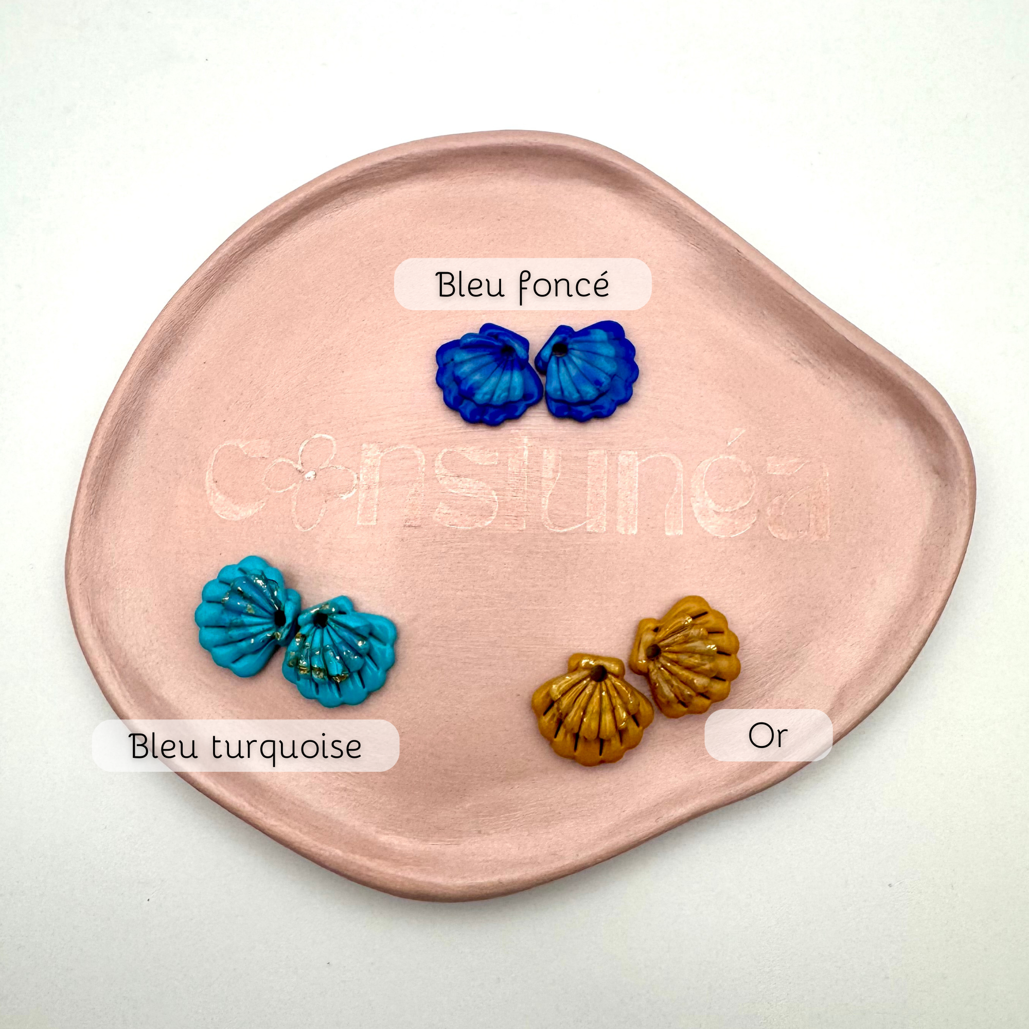 Box Coquillages